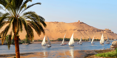 Feluccas on the Nile River, Aswan