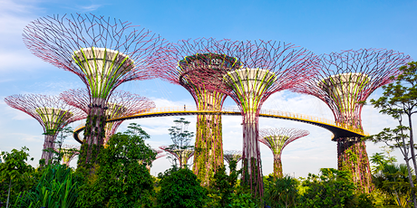 Supertrees, Gardens by the Bay