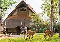 Victoria Falls Safari Club